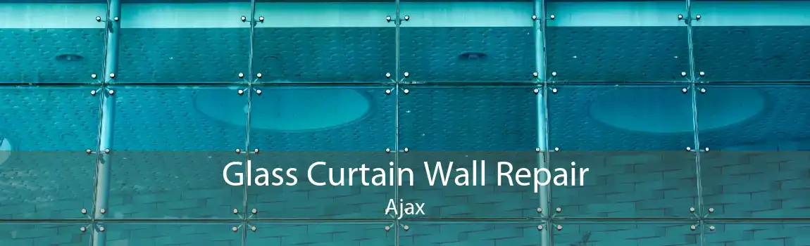 Glass Curtain Wall Repair Ajax